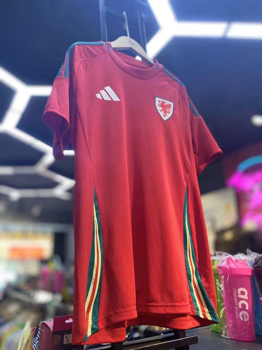 2024 Adidas 威爾士主場球迷版球衣